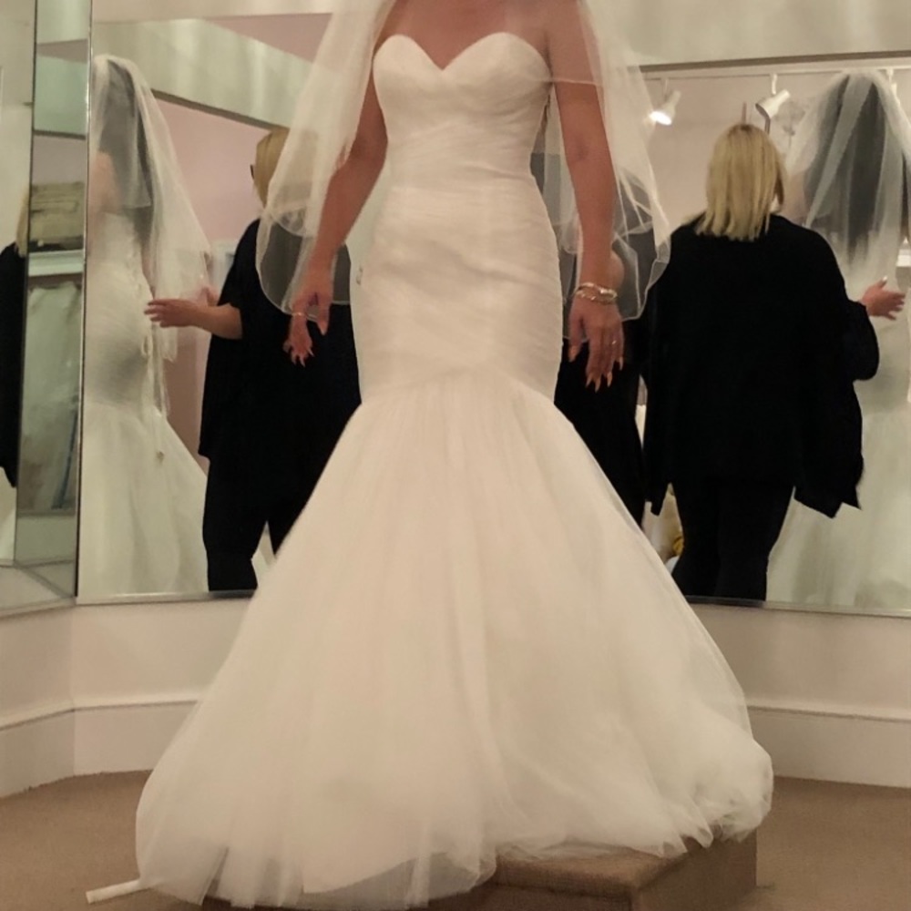 The most beautiful elegant wedding gown and veil